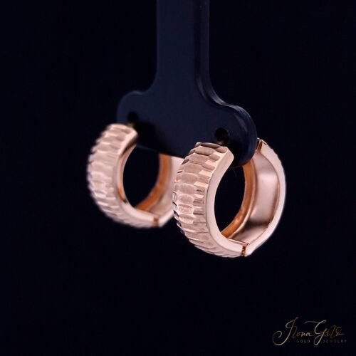 Alternative view of Hoop Earrings