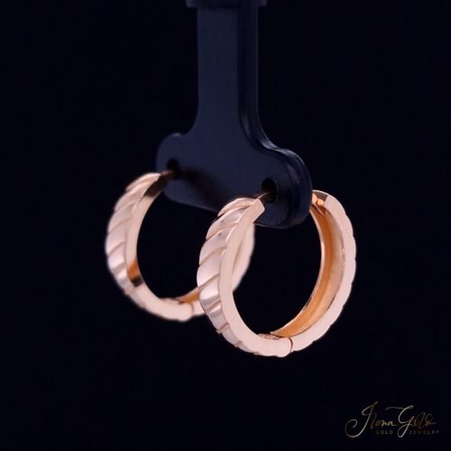 Alternative view of Hoop Earrings