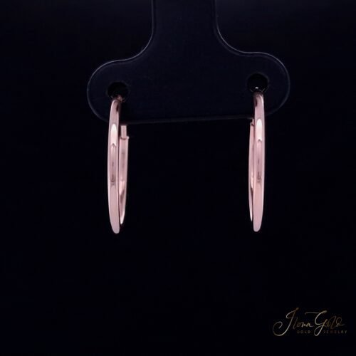 Hoop Earrings