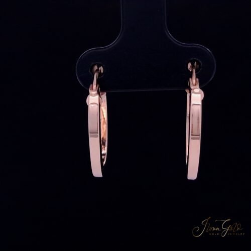Hoop Earrings