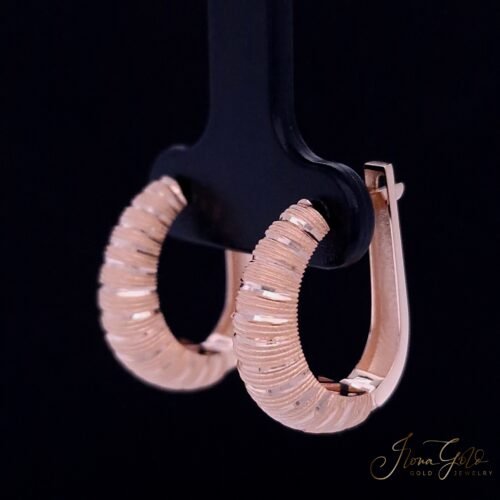 Alternative view of Earrings